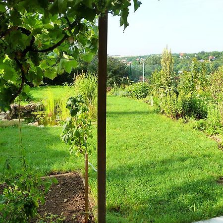 Ubytovani Vinohrady 73 Znojmo Εξωτερικό φωτογραφία